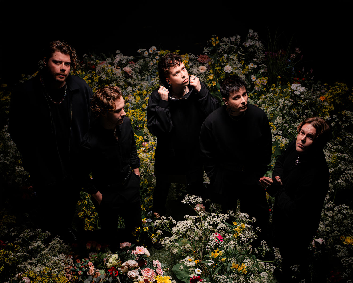 Five band members stand in a sea of flowers, dressed in black.